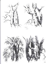 A page from On Drawing Trees and Nature by JD Harding.