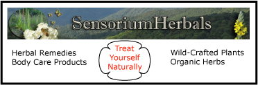 Sensorium Herbals. Herbal Remedies, body care products. Treat yourself naturally.