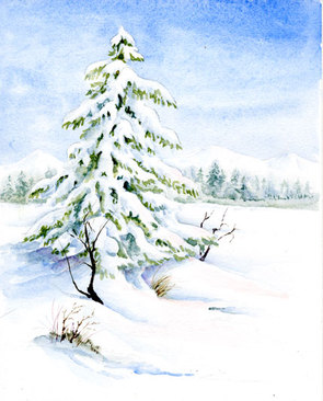 Watercolor painting of a winter scene snow on an evergreen tree.