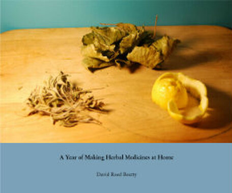 A Year of Making Herbal Medicines at Home by David Reed Beatty