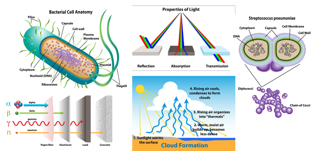 Science illustration vector art, bacterial cell anatomy, radiation waves, cloud formation, streptococcus pneumoniae
